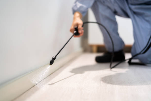 Licensed Termite Control service in Mount Carmel, PA - Show Me Pest Control