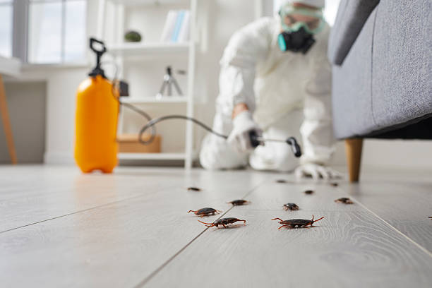 Commercial Rodent Management in Mount Carmel